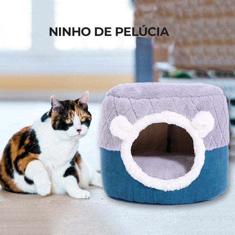 Caminha Caverna | Para Gato